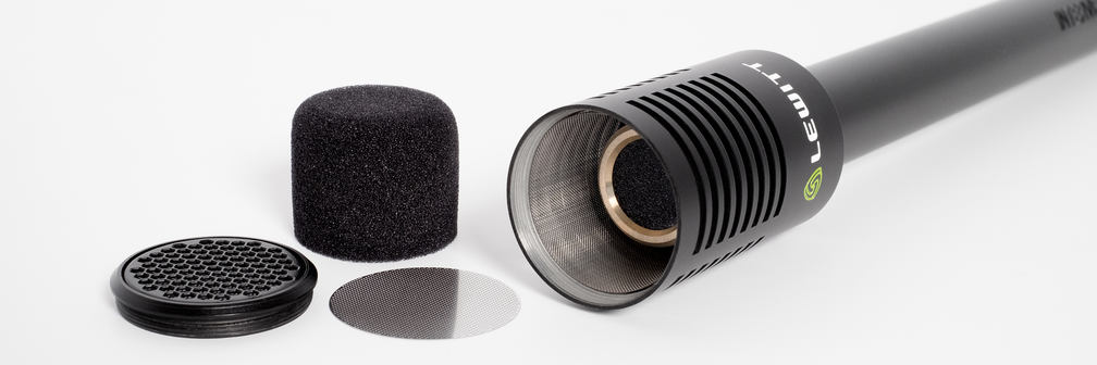 Interviewer Capsule